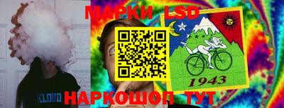 Альфа ПВП Будённовск