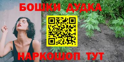 Альфа ПВП Будённовск