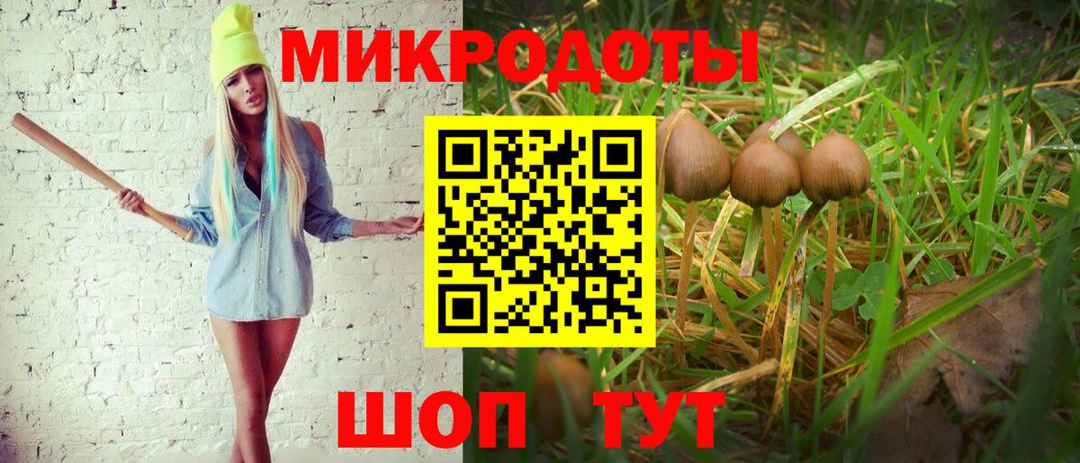Псилоцибиновые грибы Psilocybine cubensis Санкт-Петербург